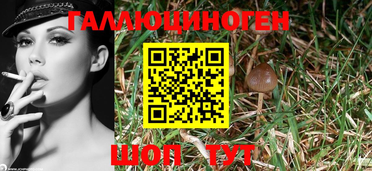 МДМА Вязники